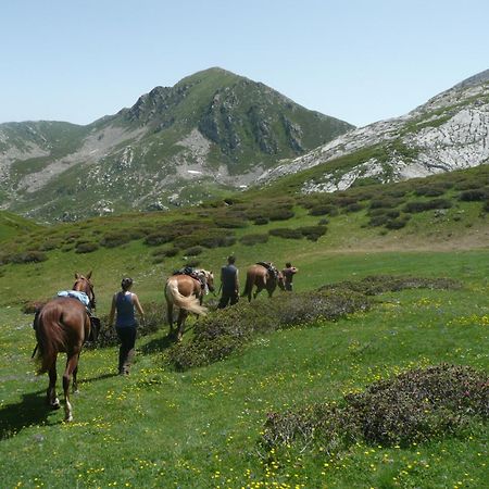 Agriturismo Bio-Ecologico Sant'Isidoro Roccaforte Mondovi Экстерьер фото