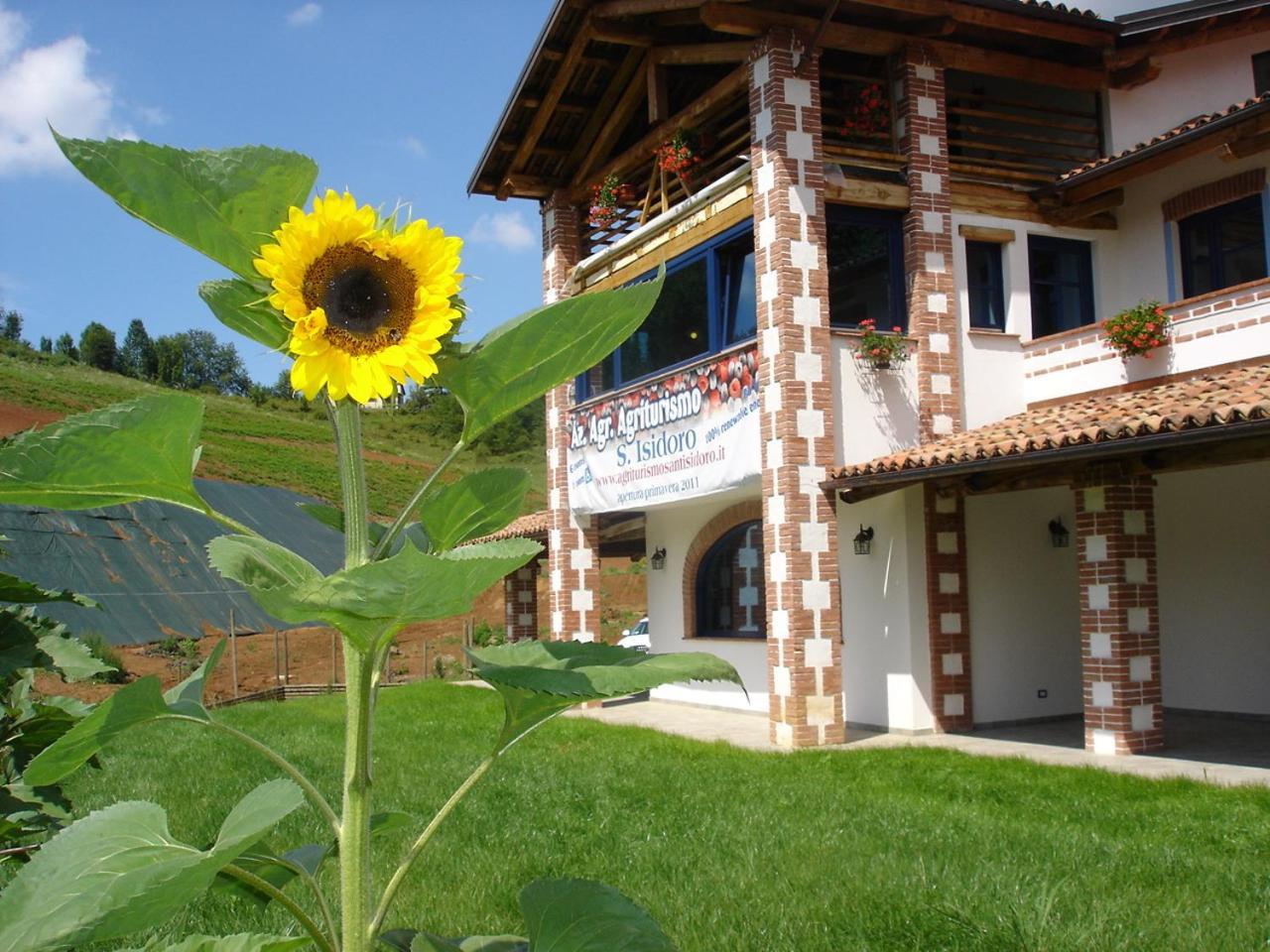 Agriturismo Bio-Ecologico Sant'Isidoro Roccaforte Mondovi Экстерьер фото