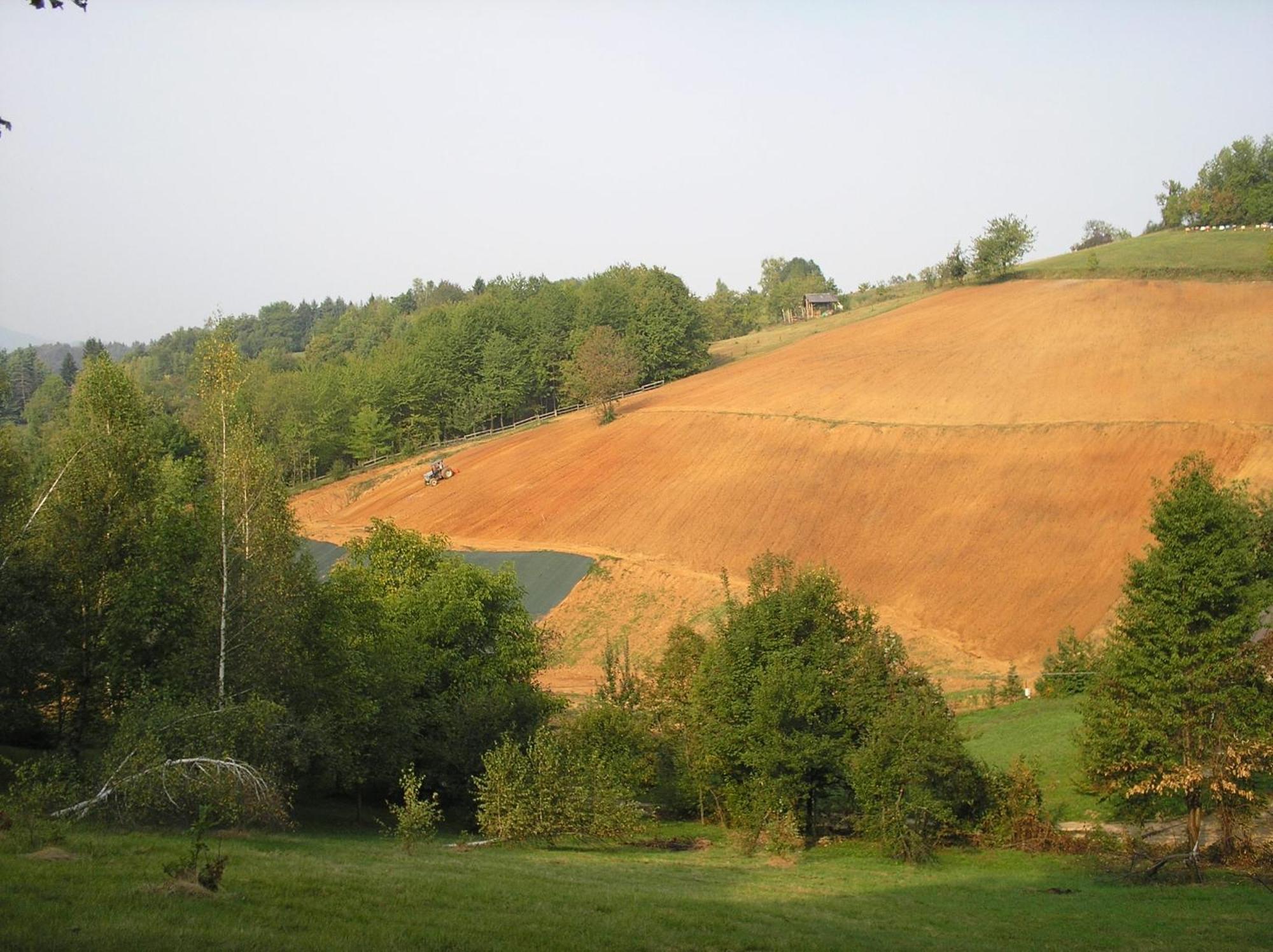 Agriturismo Bio-Ecologico Sant'Isidoro Roccaforte Mondovi Экстерьер фото