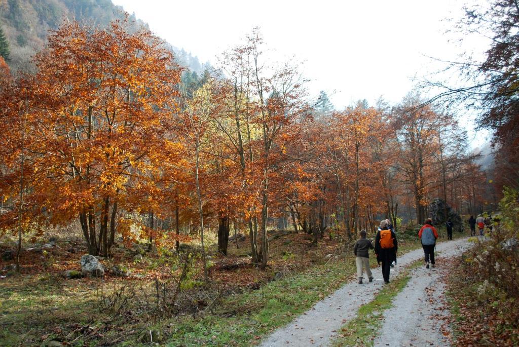 Agriturismo Bio-Ecologico Sant'Isidoro Roccaforte Mondovi Экстерьер фото
