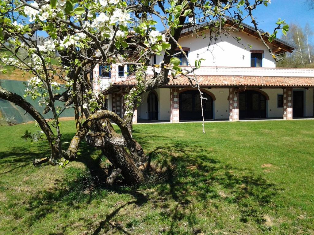 Agriturismo Bio-Ecologico Sant'Isidoro Roccaforte Mondovi Экстерьер фото