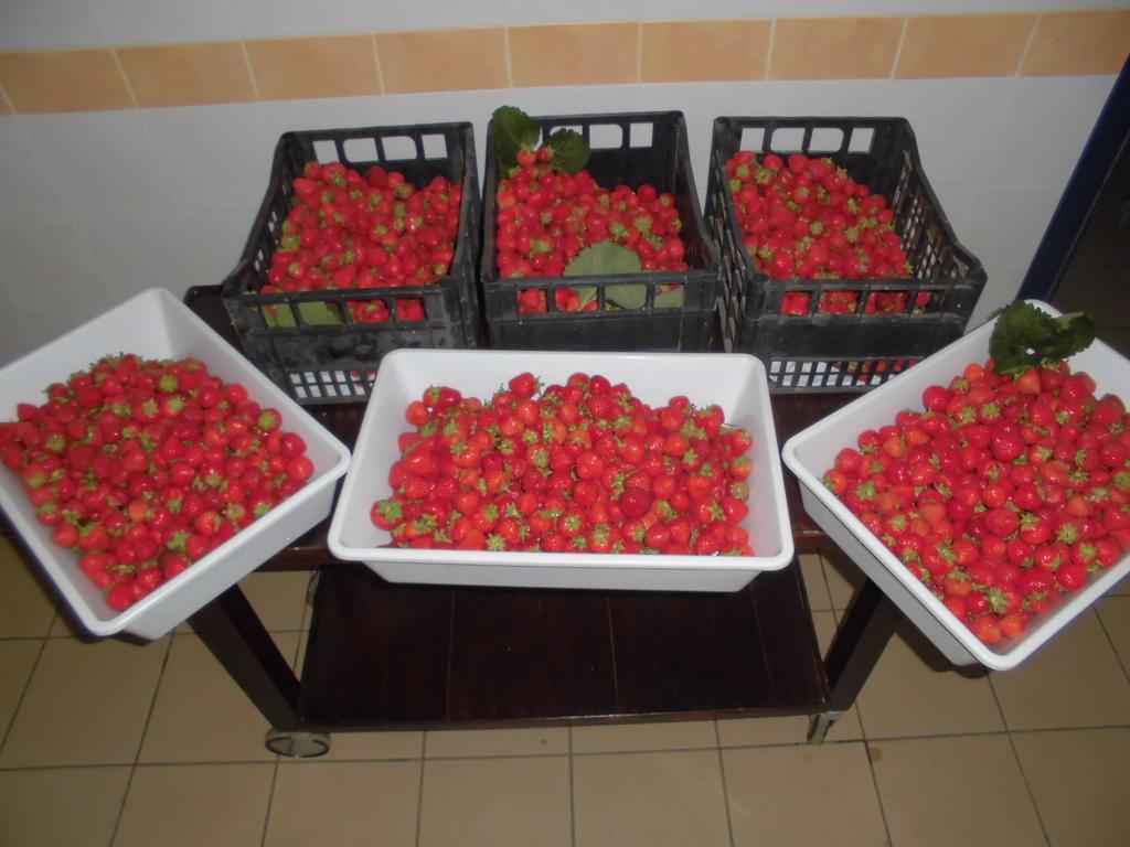 Agriturismo Bio-Ecologico Sant'Isidoro Roccaforte Mondovi Экстерьер фото